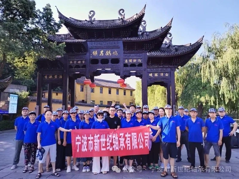 Tógáil Foirne Samhraidh Rafting Bearing Ningbo New Century